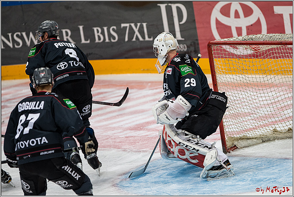 DEL, Koelner Haie - Augsburger Panther, 13.01.2017